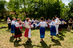 Suport video – dansuri începători